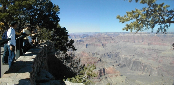 �����ɥ���˥���