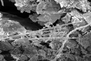 �����٥��Ȥ��ŻҸ������̿�