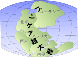 パンゲア大陸の復元図(ウェゲナー著 大陸と海洋の起源 より)